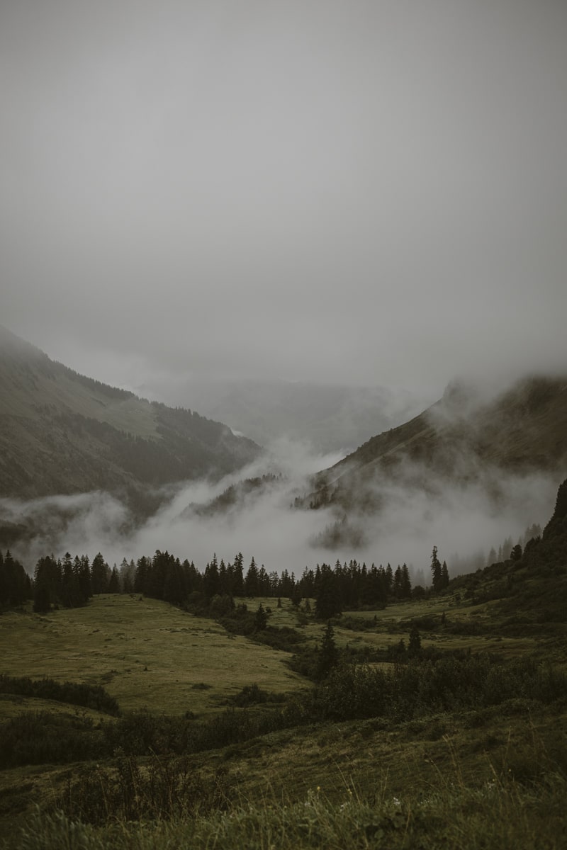 Nebel Gebirgstal Landschaft